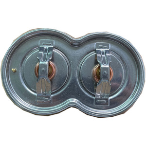 Termostato de Motor Thomson TMS-189 para Scania 1404925 1745449 2281640 1347594 Pieza de Repuesto - Product Image 2