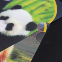 Papelería escolar para niños Carpeta de archivos lenticular 3D de tamaño A4 con personaje animal Carpeta DE PRESENTACIÓN DE PP de plástico