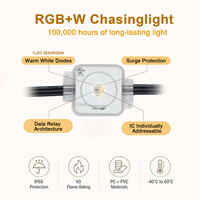Set Lampu Natal Permanen Gouly Manufacturers RGBW DC24V 36V Addressable, Tahan Air IP68, Lampu Pixel LED Outdoor