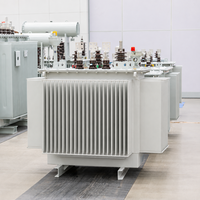 ZHONGAO POWER 10KV 11KV 50 KVA 100 KVA 200 KVA MV HV Yağlı Tip Dağıtım Trafosu Akıllı Enerji Dağıtımı için