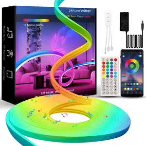 Feican Dream Color Addressable RGBW Smart Led Strip 24v Decoration Neon Smart Strip Light