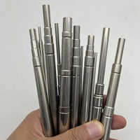 Perche télescopique extensible personnalisée de 5 pieds en acier inoxydable pour guides touristiques, pointeur d'enseignant, mât de drapeau, disque Golf Retriever