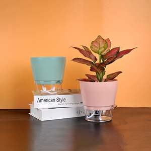 P166 Pot de plantes à arrosage automatique en plastique pour la décoration de pépinière - Product Image 2