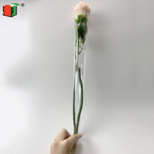 Materiale PVC di alta qualità libero rotondo di plastica del fiore di imballaggio del tubo - Product Image 4