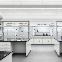 Estaciones de Trabajo de Laboratorio Modulares Modernas Personalizadas con Superficie Fenólica, Construcción de Acero y Madera para Escuelas y Hospitales