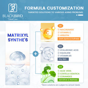 OEM/ODM hidratante Matrixyl Synthe 6 suero rico en péptidos antiarrugas <span class=keywords><strong>densidad</strong></span> de la piel aumento Matrixyl Synthe 6 suero Facial - Product Image 5