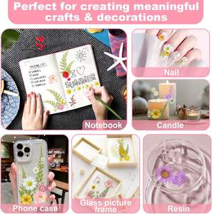 Große Masse echte getrocknete gepresste Blumen bunte Botanicals für DIY Harz Handwerk Nail Art Hochzeit Dekore Lesezeichen - Product Image 4