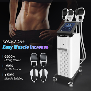 Appareil de remodelage corporel Tesla à 4 poignées, 6500W, pour raffermissement cutané et stimulation musculaire, avec option pour le plancher pelvien - Product Image 6