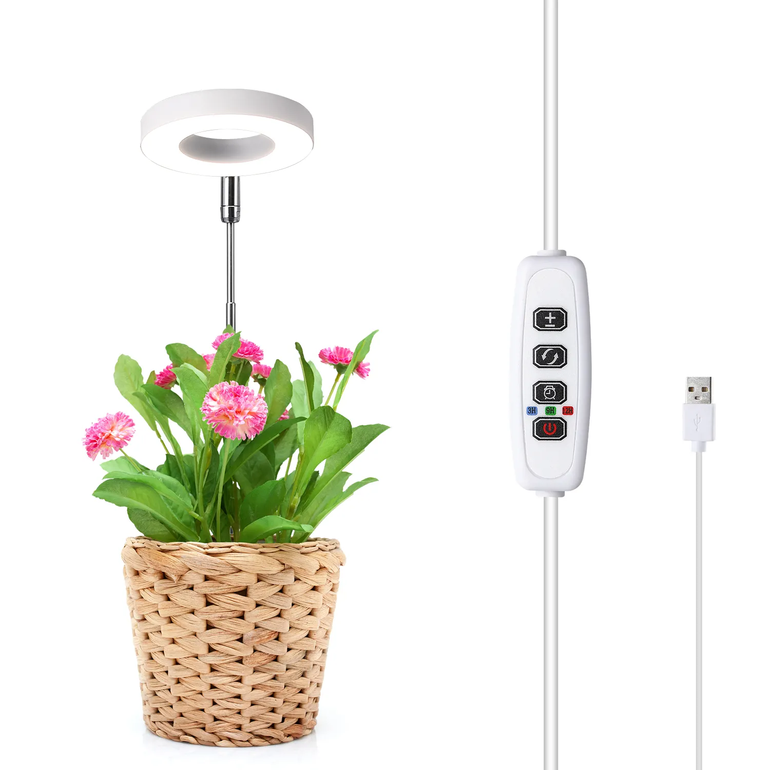 Anillo de ángulo de gran oferta, luz LED para cultivo de plantas para plantas de interior, 10 Luces de cultivo regulables, temporizador de 3/9/12H, anillo de Halo de luz Natural