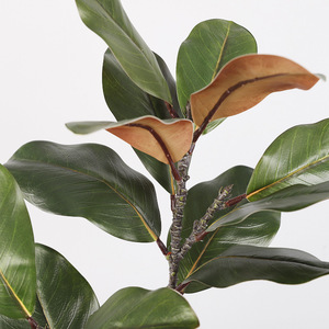 Hojas de Magnolia Artificiales de Plástico Verde de Alta Simulación con 2 Ramificaciones para Decoración de Bodas y Hogar - Product Image 3