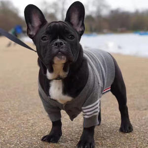 Suéter Navideño para Perro, Estilo Moderno, Ropa de Invierno Tejida para Mascotas, para Perros Pequeños y Medianos, Bulldog Francés, Corgi, Teddy, Gatos - Product Image 4