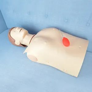 WAP-CM900 yetişkin yarım vücut CPR eğitim mankeni genel doktor