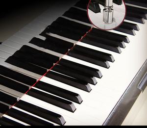 Piano à queue pour bébé avec lecteur de disque à lecture autonome - Product Image 4