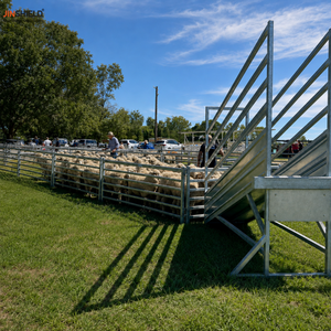 Rampe de chargement pour bétail galvanisée à chaud avec connexions modulaires pour enclos - Product Image 6