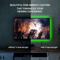 Tira de luces LED resistente al agua con batería AA, decoración Flexible de 5V, 5050, RGB, Fondo de TV, a rayas, luz de fondo con Accent, mando a distancia IR