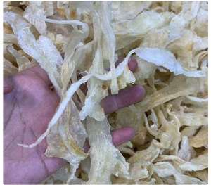 الجملة قطع سمك مجفف/المثانة الهوائية من بأسعار تنافسية - Product Image 4