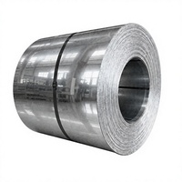 Bobina de Acero Galvanizado DX51D de Primera Calidad, Espangle Regular, para el Mercado de Colombia y Perú, Construcción Industrial