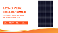 Pneu 1 plaque solaire solaire 680w 690w 700w Trina 690w panneau solaire bifacial personnalisable Perovksite solaire pour le marché européen en gros