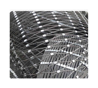 2 mm 2.5mm Diamètre 50*50 ou Personnalisé Flexible SS 304 316 Câble Métallique Main Faire Maille Montagne Protéger Clôture Filet Maille
