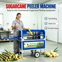 Fabrieksdirect verkoop RVS suikerriet schilmachine Volledig automatische suikerriet schilmachine voor fruit en groenten