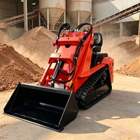 Mini-chargeuse compacte avec rapport d'inspection complet et rapport de test de la machinerie pour garantir des performances de machine stables