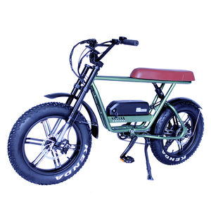 Vélo électrique puissant de 1000W, moteur de haute qualité - Product Image 3