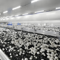 Étagères modulaires en alliage d'aluminium pour la culture de champignons, support de culture de champignons comestibles commercial