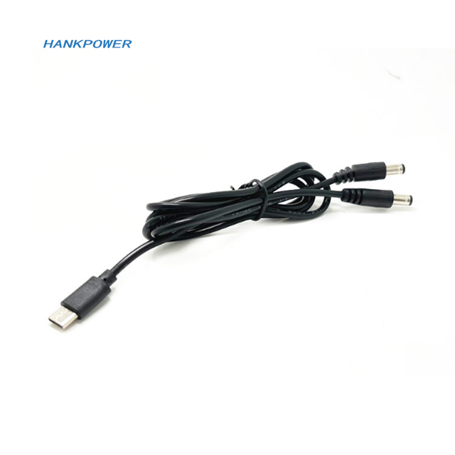 Custom 1 to 2 USB Type C to DC 5521 5525 4017 35135 MM 20V 15V 12V 9V PD Charging Cable for WIFI Router Cable