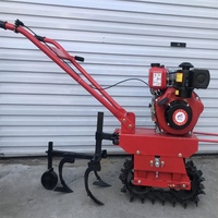 Hete verkoop goedkope mini-akkerfrees enkelbaans kleine landbouw cultivator looptractor dieselmotor versnellingsbak tuin