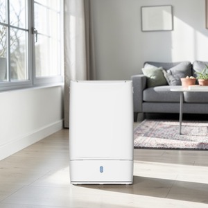 DDM Air <b>Dehumidifiers</b> 10L Dehumidifying Capacity for Household ISO 9001 CE Certified High Performance Quiet Eco-friendly - Product Image 1