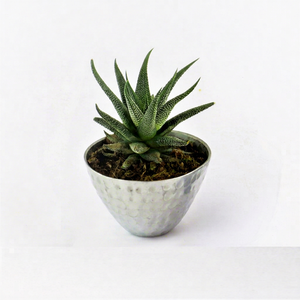Florero pequeño martillado hecho a mano de metal de diseño clásico, decoración del hogar, artículo perfecto, macetas y jardineras de metal - Product Image 1