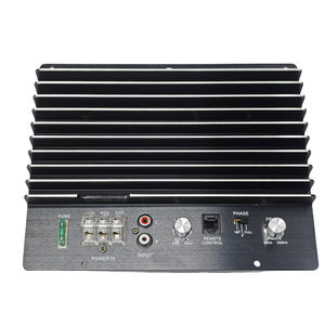 Carte d'amplification audio pour voiture 12V, carte d'amplificateur pour caissons de basses, amplificateur auto 120W <span class=keywords><strong>classe</strong></span> D, haute qualité et <span class=keywords><strong>meilleur</strong></span> prix - Product Image 5