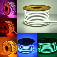 Ruban LED néon en silicone haute luminosité IP65 6x12mm DC12V avec télécommande USB, intensité réglable, pour décoration murale domestique, certifié CE