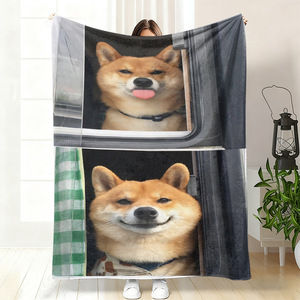 Couverture en flanelle réversible motif chien de dessin animé mignon, douce pour la peau, idéale pour la sieste à la maison ou au bureau, impression personnalisée, vente en gros - Product Image 4