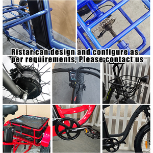 Tricycle électrique à trois roues pour adultes, version simple - Product Image 5