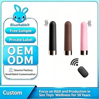 Bullet-Vibratoren Fabrik Wiederaufladbar 10 Geschwindigkeiten Fernbedienung Mini-Vibrations-Ei für Frauen BlueRabbit Private Label Vibrator Bullet