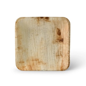 Assiettes carrées en feuilles de palmier biodégradables, écologiques et sans danger pour les aliments, empilables et faciles à manipuler, 15 x 15 cm - Product Image 5