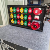 Boîtier de distribution d'alimentation de scène personnalisé OEM avec affichage numérique du tensionnement, Voltmètre 32A 63A, RCD et mise à la terre