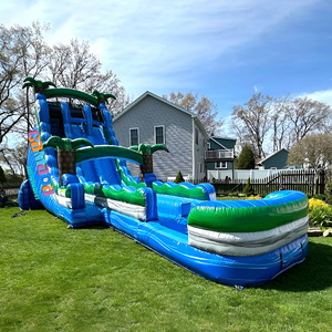 Toboggan aquatique gonflable commercial en PVC avec piscine et château gonflable, double piste, pour la maison et la <span class=keywords><strong>location</strong></span> intérieure/extérieure - Product Image 2