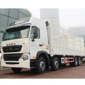 Howo Large Displacement Cargo Truck 30 Ton Truck