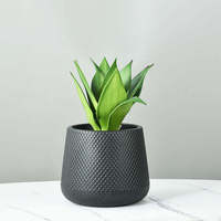 Support moderne d'extérieur bon marché pot de fleur décoratif vente écologique jardinières en plastique PE fleurs de jardin plantes vertes cactus grand pot