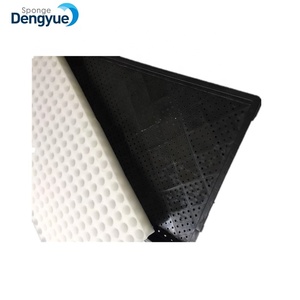 Khay Ươm Hạt Giống Bằng Nhựa, Khay Đựng Hạt Giống, Miếng Bọt Biển - Product Image 4