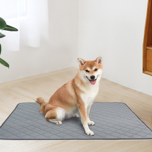 Tái Sử Dụng Không Thấm Nước Pee <span class=keywords><strong>Pad</strong></span> Cho Đào Tạo Du Lịch Cao Cấp Không Thấm Nước Tái Sử Dụng Con Chó Đào Tạo Miếng Đệm Không Trượt Đào Tạo Miếng Đệm Cho Chó - Product Image 3