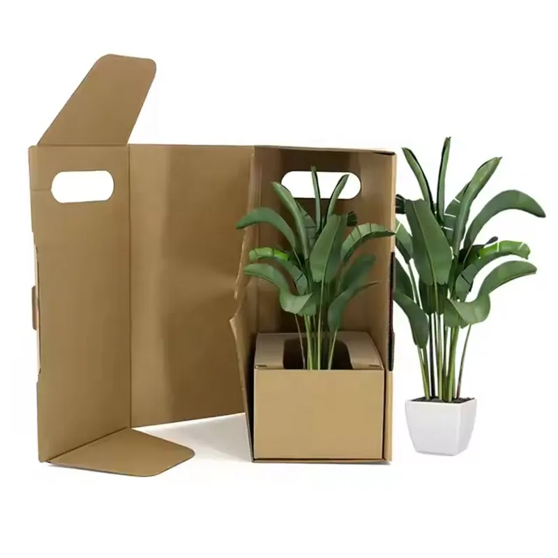 Factory supplier Succulent Plant cardboard Box for Potted Live Plants vase eco friendly bouquet gift box