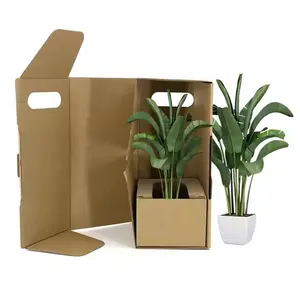 Поставщик фабрики, картонная коробка для суккулентных растений, ваза для живых растений в горшках, экологически чистый букет, подарочная коробка