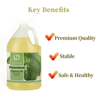 Natural Mint Flavor High Concentration Bulk Supplier for Shisha Tobacco Fragrance Oil for Candle Soap and Industrial Flavors
