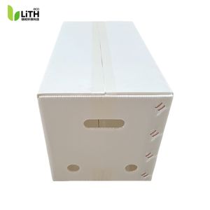 Boîte de rangement et d'emballage pour fruits et légumes en PP recyclable, empilable, à <span class=keywords><strong>prix</strong></span> d'usine, en forme de noix d'eau creuse - Product Image 4