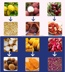 Séchoir à avocat à bande de maille continue pour le traitement industriel, déshydrateur d'<span class=keywords><strong>herbe</strong></span> séchée, de légumes, de fruits et d'herbes - Product Image 6