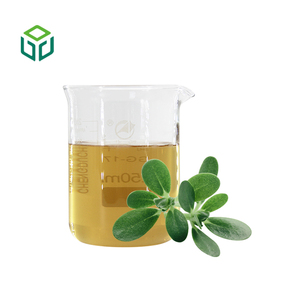 Bubuk Ekstrak Herbal Berkualitas Tinggi untuk Makanan (Purslane/<span class=keywords><strong>Portulaca</strong></span> <span class=keywords><strong>Oleracea</strong></span>/Bacopa Monnieri) Bersertifikat Organik dalam Drum Pelarut - Product Image 2