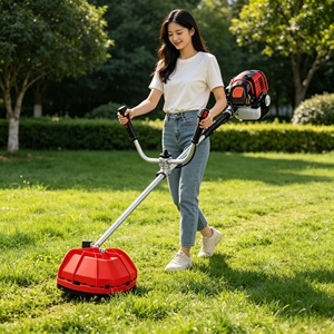 <span class=keywords><strong>Tondeuse</strong></span> à gazon L&P à moteur essence pour jardin, cour, ferme, coupe d'herbe, usage intensif - Product Image 2